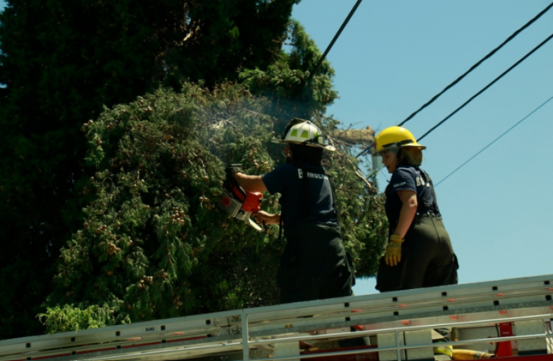 Bomberos realiz 112 salidas durante octubre